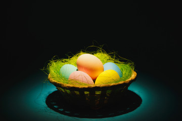 Colorful pastel monophonic traditional painted Easter eggs in basket with green grass on dark blue background with black shadows, silhouette, light. Copy space for advertisement. With place for text