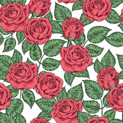 Vector seamless vintage background with hand-drawn roses. Wallpaper, texture, pattern, backdrop.