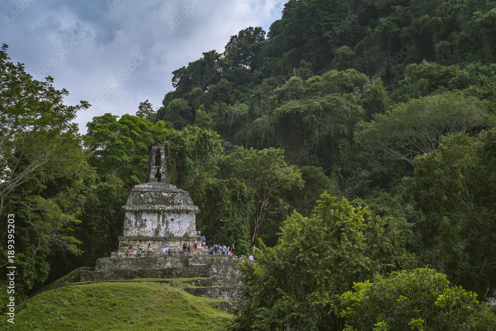 Wall mural mayan ruins of palenque