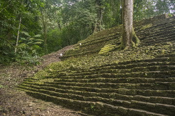 mayan ruins of palenque