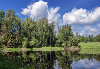 summer landscape. The picturesque coast of the lake with grass and trees under a blue cloudy sky