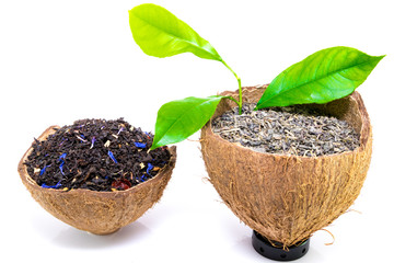Dry black and green tea leaves on coconut rind isolated on white background