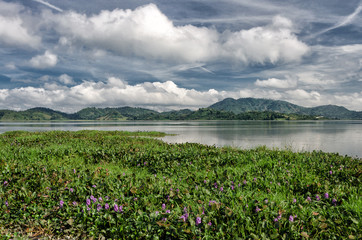 This is Daklak-a country of elephants and waterfalls, a province in the center of mountainous Vietnam.