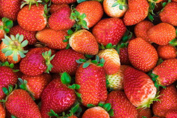 .background of fresh juicy ripe strawberry close-up