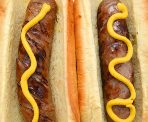 Closeup of two bratwursts on a bun with mustard