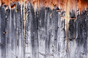 Two Toned Wood Wall