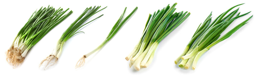 Collage with green onion on white background