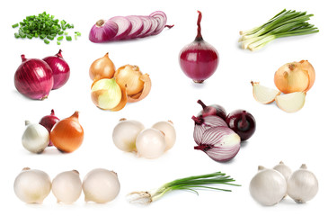 Collage with different kinds of onion on white background