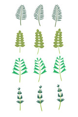 Green abstract leaf icons natural set on white background. Vector illustration.