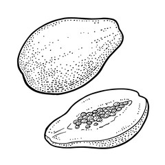 Whole and half papaya. Vector vintage engraving color