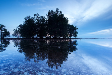 Naklejka na ściany i meble serinity sunrise view with reflection at Borneo, Malaysia.