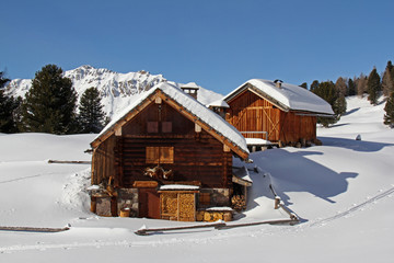 baite nella neve; sullo sfondo la Viezzena. Val di Fiemme, Trentino