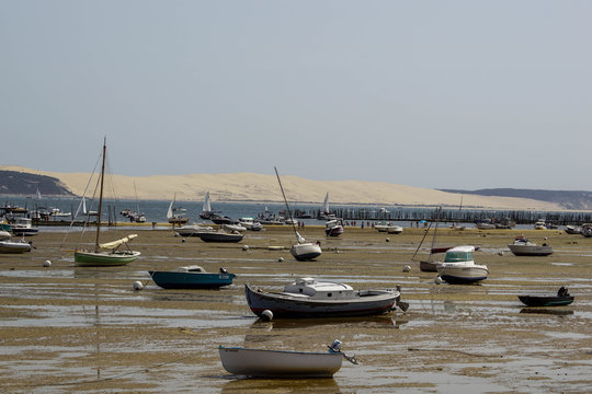 cap ferret