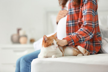 Young pregnant woman with cute cat at home