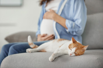 Cute cat and blurred pregnant woman on background © Africa Studio