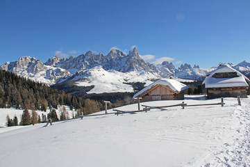 Fototapeta na wymiar Malga Bocche con l'arco delle Pale di San Martino; Dolomiti, Trentino