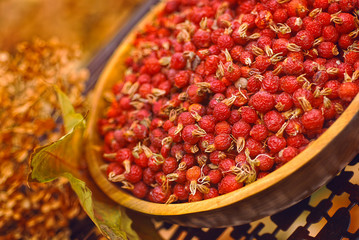 Autumn Wild Rose Hips