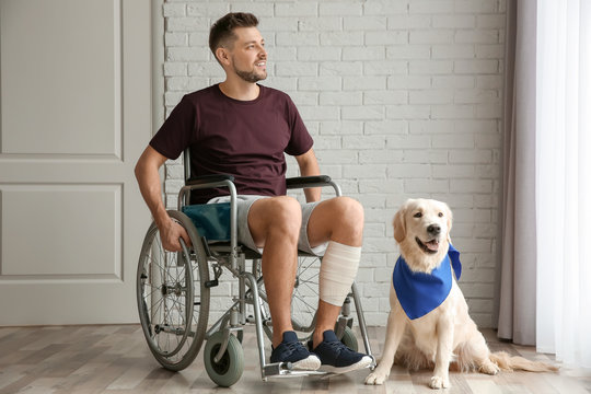 Man in wheelchair with service dog indoors