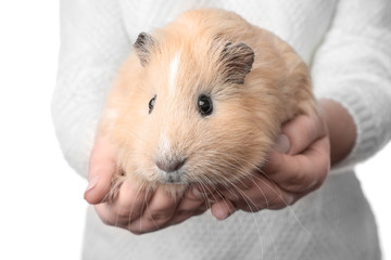 Woman holding funny guinea pig on white background
