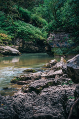 Mountain river in gorge, rock canyon with flowing water stream in summer time