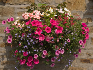 Hanging flower basket on stone cottage wall