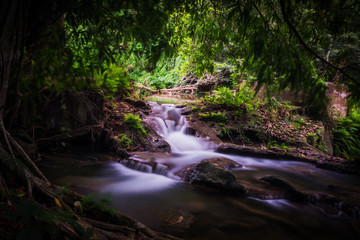 Obraz premium water fall in the forest 