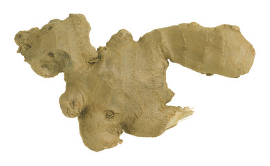 Ginger Zingiber officinale rhizome isolated on white background