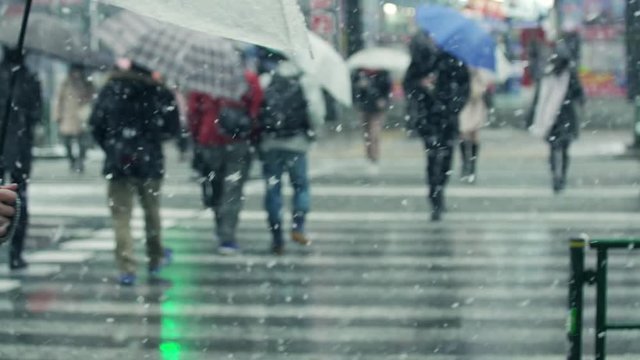 雪　街　豪雪　吹雪　歩く　東京　都会