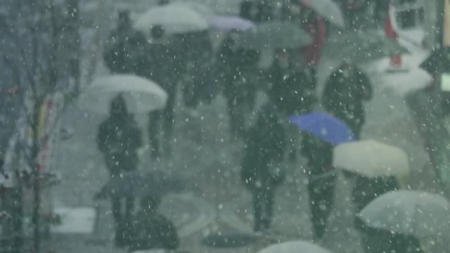 雪　街　豪雪　吹雪　歩く　東京　都会