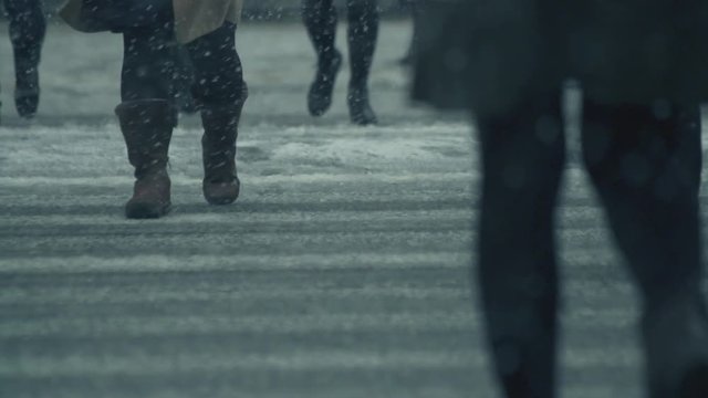 雪　街　豪雪　吹雪　歩く　東京　都会
