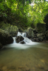 Fototapeta premium beautiful view of river and jungle of Borneo