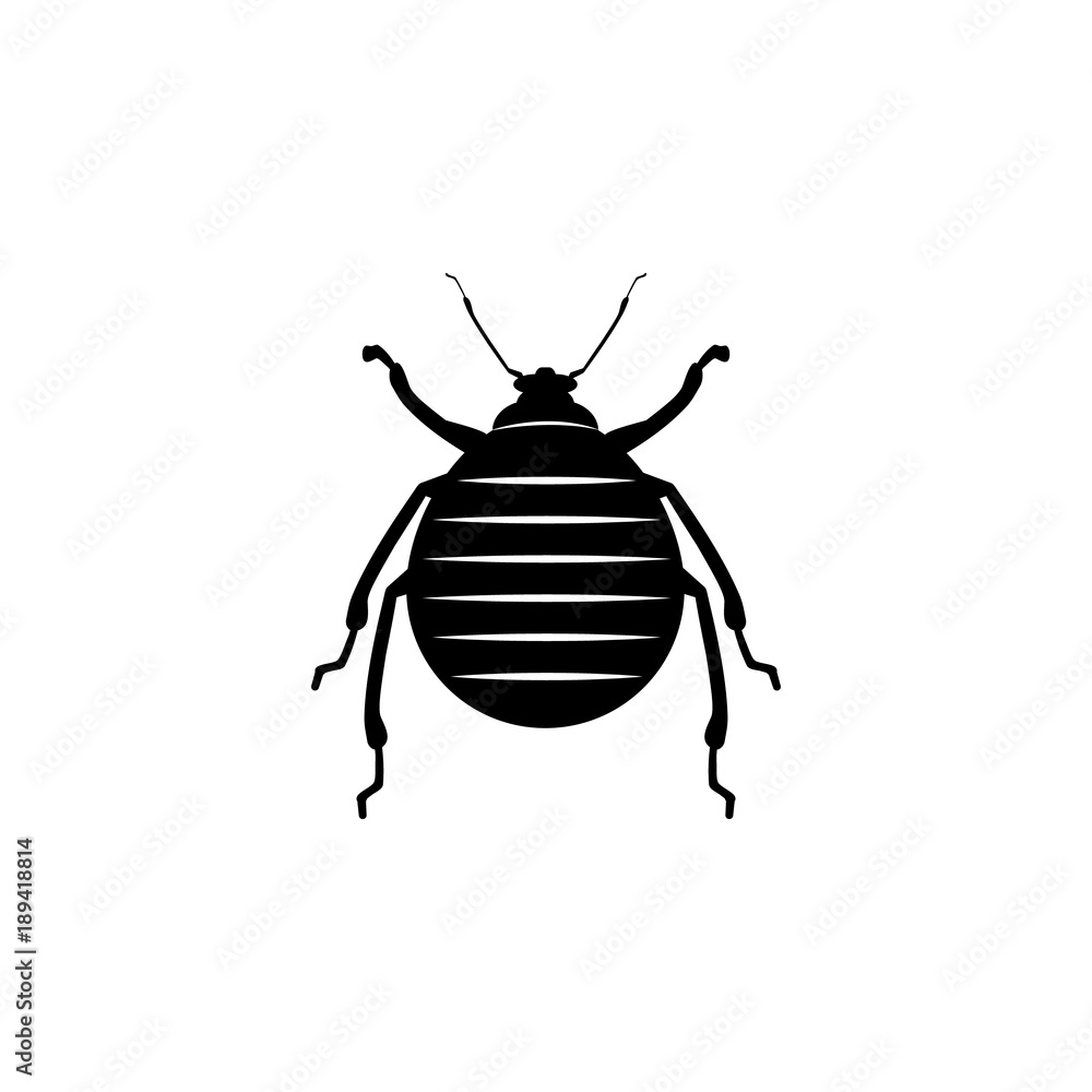 Poster beetle icon. elements of world of insects icon for concept and web apps. illustration icon for websi