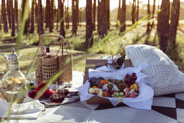 Romantic picnic set up with mixed food platter and wine