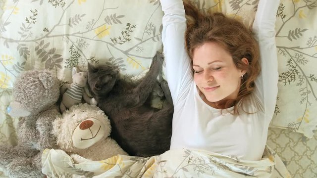 Hand of an elderly woman stroking gray cat sleeping on the bed