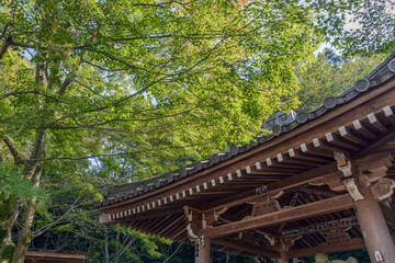 木漏れ日の差す森の中のお堂