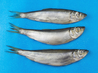 Three salt fish herring on a blue background.
