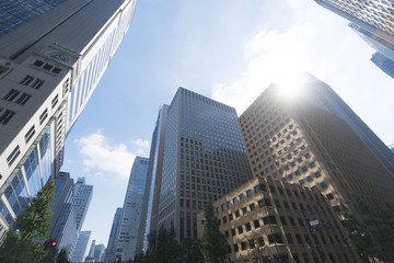 Fototapeta na wymiar 東京　大手町　逆光　青空