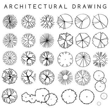 Set of Architectural Hand Drawn Trees : Vector Illustration