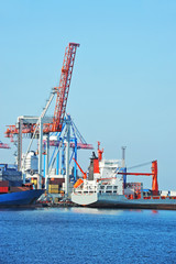 Bulk cargo ship under port crane