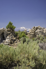 Mono Lake Tufa State Reserve