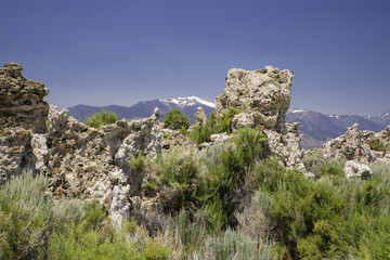 Mono Lake Tufa State Reserve
