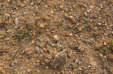 Rocks and soil