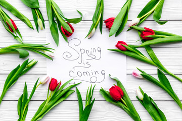 Obraz premium Spring is coming lettering surrounded by colorful tulips on white wooden background top view copy space