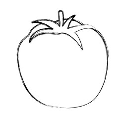 Tomato fresh vegetable icon vector illustration graphic design