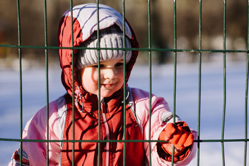 little kid looks through the bars in winter