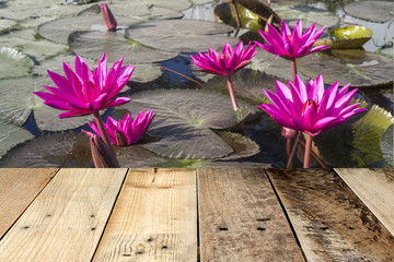 Wood planks floor with pink lotus blossoms or water lily flowers blooming on pond.