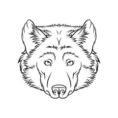 Sketch of wolfs head, portrait of forest animal black and white hand drawn vector Illustration