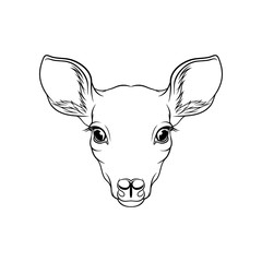 Sketch of roe deers head, portrait of forest animal black and white hand drawn vector Illustration