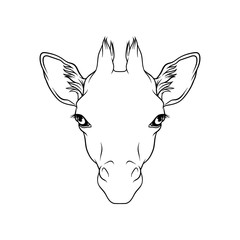 Sketch of giraffes head, portrait of forest animal black and white hand drawn vector Illustration