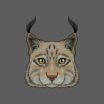 Head of lynx, portrait of wild serval cat animal hand drawn vector Illustration